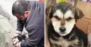 Man Rescued A Choking Stray Puppy After A Piece Of Food Got Stuck In Its Throat