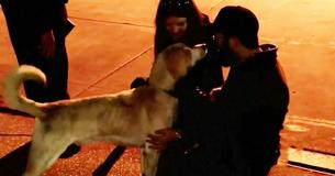 Canadian Family Desperately Searches For Lost Dog - Then They Get Call From The US Coast Guard
