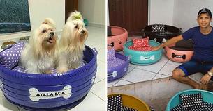 Struggling Artist Transforms Thousands Of Thrown Out Tires Into Colorful Beds For Stray Animals