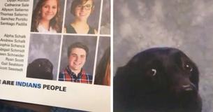 Service Dog Has Perfect Attendance Record With Diabetic Teen So School Features Him In Yearbook
