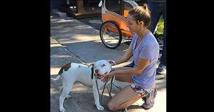 Sweet Rescue Dog Courageously Saves Foster Mom From Rattlesnake