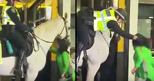 Woman Punches Police Horse But Then Officer Grabs Her Hair And Throws Her To The Ground