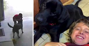 Kid Who Became Famous For Sneaking Cuddles From Neighbor's Dog Gets One Of His Own