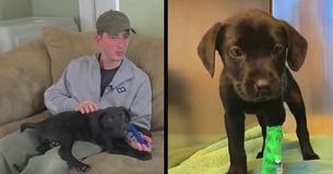 Deaf Man Adopts Deaf Puppy And Teaches Him Commands Using Sign Language