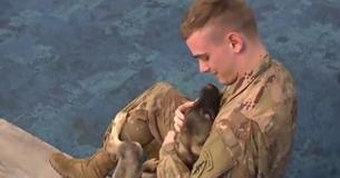Soldier Reunited With Puppy He Took Care Of After She Was Found Next To Dead Sibling In Syria