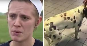 Vrouw denkt dat hond veel insectenbeten heeft, totdat nader onderzoek ervoor zorgt dat ze de politie opbelt