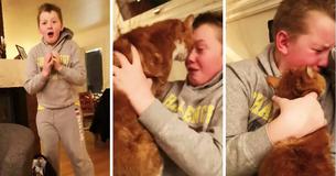 Little Kid Left Sobbing Moment He's Reunited with Missing Cat