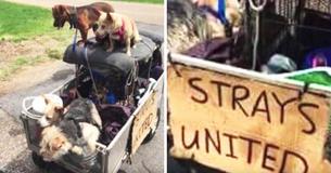 This Homeless Man Rescues Stray Dogs & Thanks To Social Media, Their Lives Changed Forever