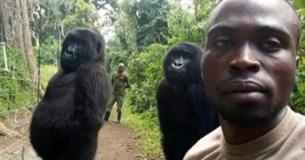 Gorillas Pose for a Casual Selfie With the Rangers Who Saved Them