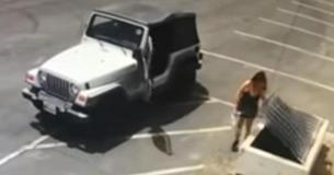 Woman Brutally Throws Plastic Bag With 7 Puppies In The Dumpster: "This Was A Shameful Act"