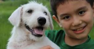 40 Animals And Still Counting Have Been Saved, Thanks To One Inspiring Little Boy