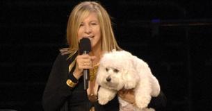 Barbra Streisand Reveals That 2 Of Her New Puppies Are Actually Clones Of Her Previous Dog Who Died