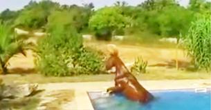 Personne ne croirait cet homme quand il a décrit le rituel de l'après-midi de son cheval - alors il l'a filmé