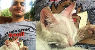 Un homme s'endort dehors et se réveille avec un chat errant qui dort sur son ventre