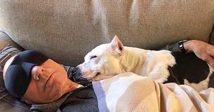 Le nouveau chien adoptif de Patrick Stewart lui sourit sans cesse
