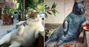 Un célèbre chat meurt, donc la ville lui dédie une statue à son endroit préféré