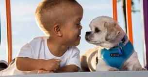 5-Year-Old Boy Was Ashamed Of His Dwarfism  Until They Rescued A Pup Who Has It, Too 