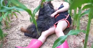 Des policiers entendent un chien aboyer au fond des champs de maïs, suivent le son et trouvent une fillette disparue de trois ans
