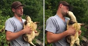 L'amante degli animali cerca di baciare una tartaruga azzannatrice e viene ferocemente morsicato sulle labbra