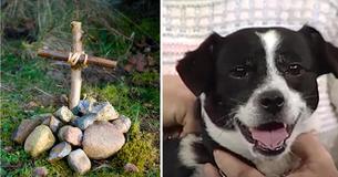 Le père enterre un chien renversé par une voiture - Cependant, 14 heures plus tard, il attend à leur porte d'entrée