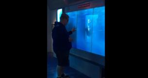 Un homme touche l'aquarium pour ensuite finir par être terrassé par la terreur