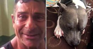 Un homme réuni avec son chien disparu quelques jours avant son euthanasie. Cette histoire vous réchauffera le cœur.