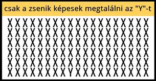 Csak a zsenik képesek 60 másodpercen belül megtalálni, hogy hol van az "Y" a képen