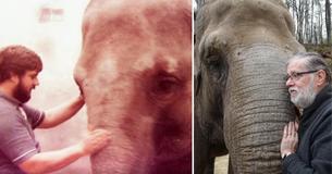 Zookeeper Immediately Recognized By The Elephant He Cared For 32 Years Ago