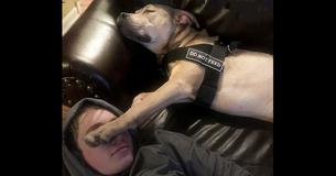 Adopted Pup Terrified Of Everything Is Cured After One Night With His New Brother