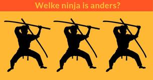 Deze foto zal in één minuut bepalen hoe scherp jouw zicht is