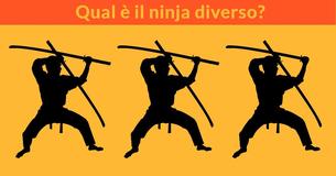 Questa immagine determinerà quanto è aguzza la tua vista in un solo minuto