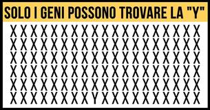 Solo i geni sono in grado di trovare la "Y" in meno di 30 secondi