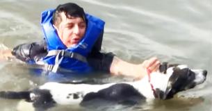 Good Samaritan Leaves His Own Birthday Party To Save Dog Drowning In River