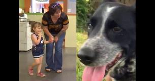 After Stray Pup Stands Between Toddler And Attack, Kid's Family Adopts Their New Hero