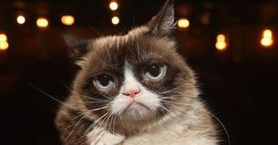 RIP Grumpy Cat
