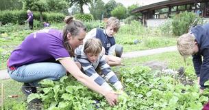 Should Kids Be Taught How To Grow Food As Part Of Their Education?