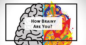Only 3 In 100 Women Can Pass This IQ Test