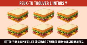 Parviendras-tu à passer ce test incroyablement exigeant ?