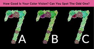 This Brainteaser Will Determine the Sharpness Of Your Eyesight In One Minute