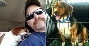 Grateful Shelter Dog Saved From Euthanasia Keeps Snuggling Savior On The Way Home