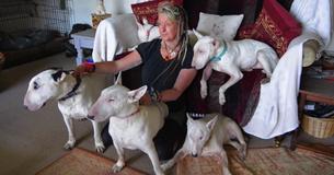 Un homme a forcé sa femme à choisir entre ses chiens et lui, et elle finit par choisir les chiens