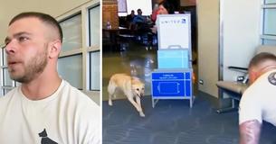 Nervous Veteran Turns Around And Sees His Former Military Dog Running Toward Him