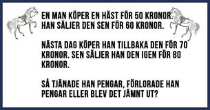 De Flesta Människor Kan Inte Lösa Denna HästGåta - Kan Du?