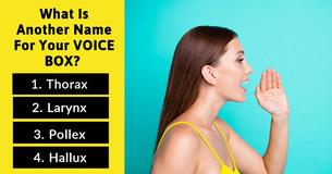 Your IQ Is Higher Than 149 If You Can Answer These 11 Human Anatomy Questions