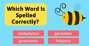 Which Word Is Spelled Correctly?