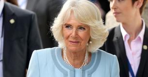 Wat een ster  Hertogin Camilla verbluft het publiek in haar lichtblauwe jurk met gigantische parelketting tijdens koninklijke tour door Ierland