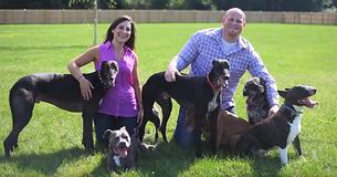 This Couple Has Rescued More Than 300 Senior Shelter Dogs To Honor The Memory Of Their Departed Pup