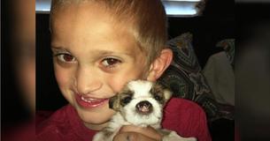 Little Boy Falls In Love With Foster Dog That Has Cleft Palate Just As He Does
