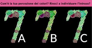 Questo rompicapo determinerà la nitidezza della tua vista in un minuto