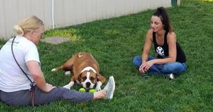 His Owner Abandoned Him When He Got Sick - But His New Friends Refused To Let Him Die Alone